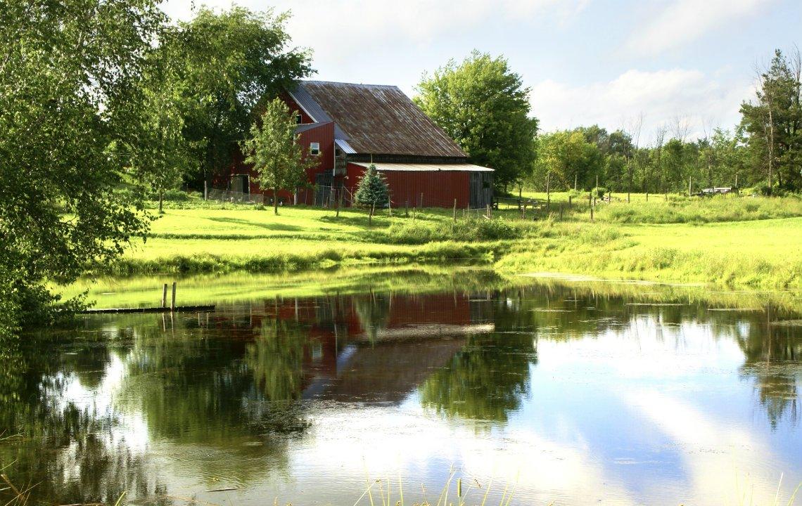 We Just Bought Property With A Pond On It. Now What?