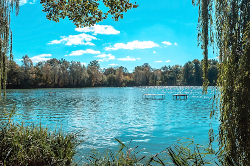 A serene lake with a bridge crossing over it, surrounded by lush trees in the background.