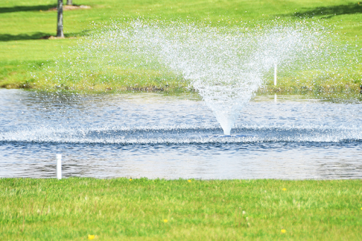 Will a Fountain Aerate a Pond or Should You Choose an Aerator? A Full Comparison Guide