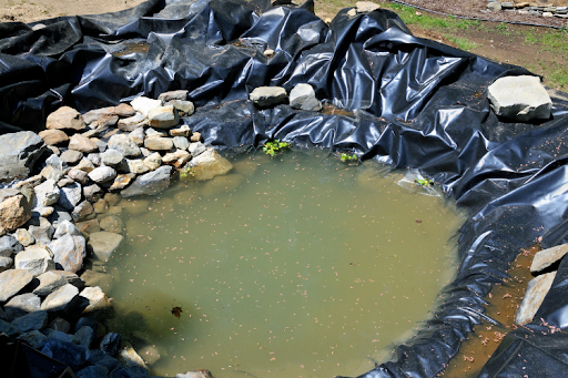 A pond covered with a black tarp, likely for maintenance or to prevent algae growth.