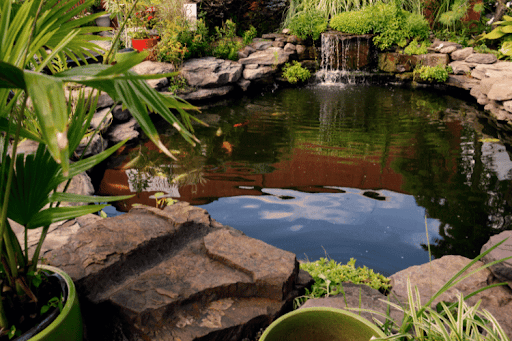 How Do You Maintain Water Quality in a Pond? Top Tips for a Healthy, Crystal-Clear Ecosystem