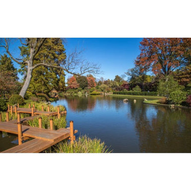 Beautiful Backyard Pond using HQUA PAS20 Pond Aerator