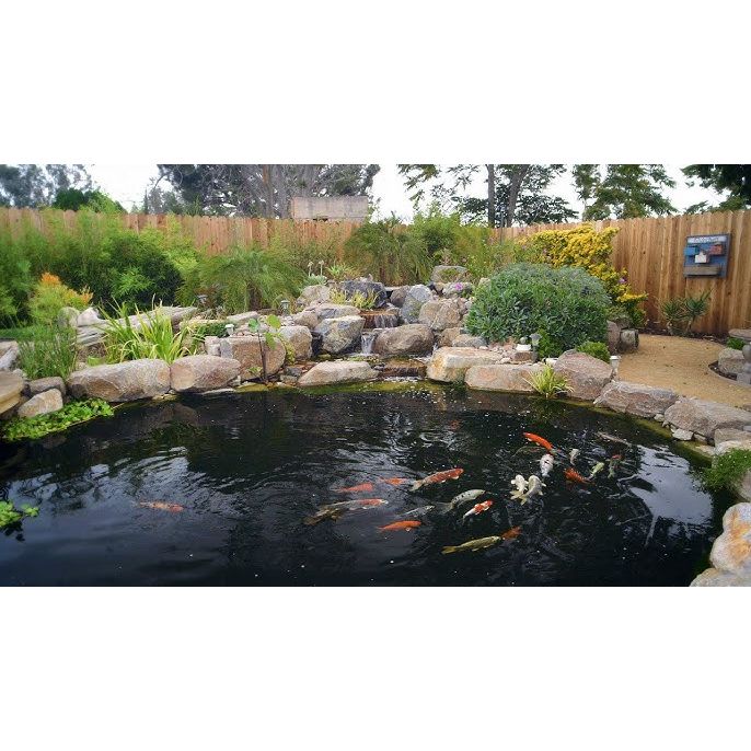 EasyPro Pro-Series Large - Complete Kit for 24′ x 24′ Pond Pond Package EasyPro