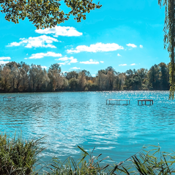 A serene lake with a bridge crossing over it, surrounded by lush trees in the background.