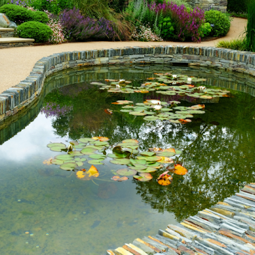 A small, clear ornamental pond with water lilies floating on the surface, bordered by neatly stacked stonework and surrounded by a landscaped garden with colorful flowers and greenery.