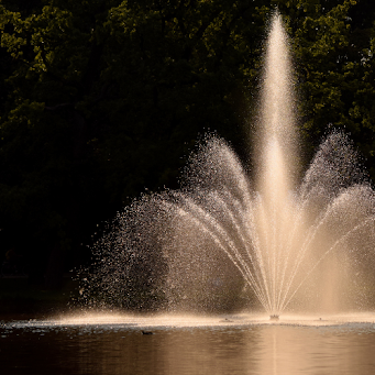 How to Install a Pond Fountain: Your Complete Installation Guide