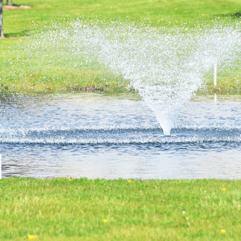 Will a Fountain Aerate a Pond or Should You Choose an Aerator? A Full Comparison Guide