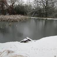 Why Winter Aeration Matters—Even in Southern States Like Texas, Alabama, and Georgia