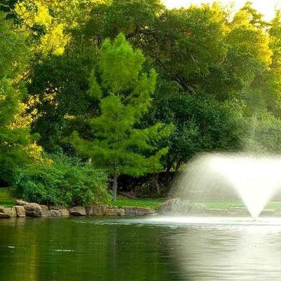 Best Pond Fountains (2026 Guide): Top Fountain Systems for Every Pond Size