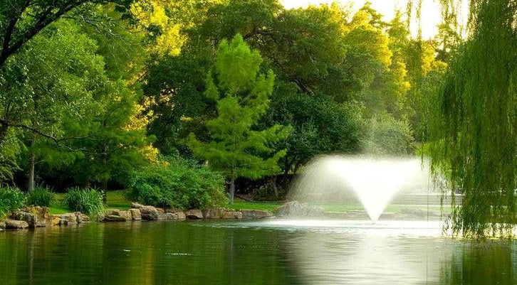 Best Pond Fountains (2026 Guide): Top Fountain Systems for Every Pond Size