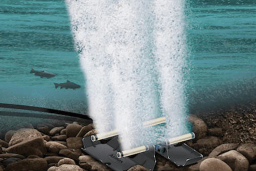 Why Pond Aeration is Critical for Water Health