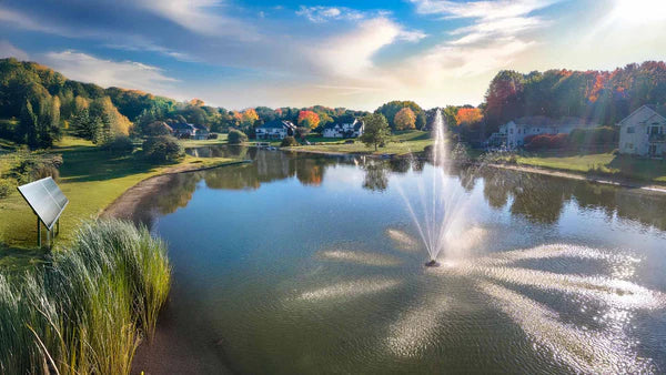 Solar vs Electric Pond Fountains: Which One Should You Choose?