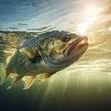 bass in pond underwater
