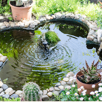 How to Build a Pond: A Step-by-Step Guide to Creating a Thriving Water Feature
