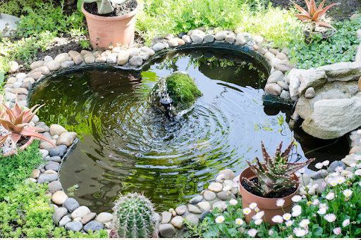 How to Build a Pond: A Step-by-Step Guide to Creating a Thriving Water Feature