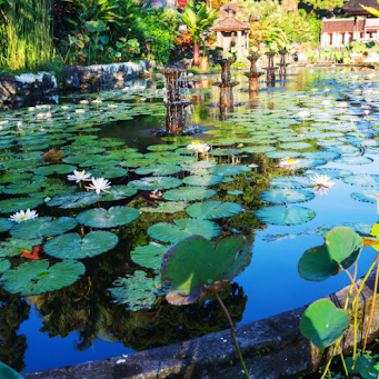 How to Dredge a Pond Without Killing the Ecosystem: Everything You Need to Know