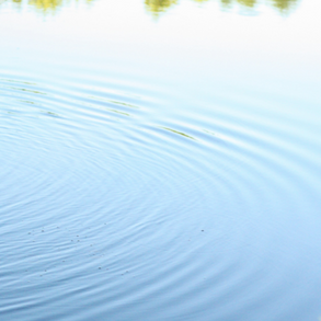 Surface of pond being aerated with EasyPro bottom diffused aerator