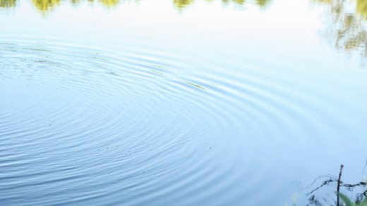 Surface of pond being aerated with EasyPro bottom diffused aerator