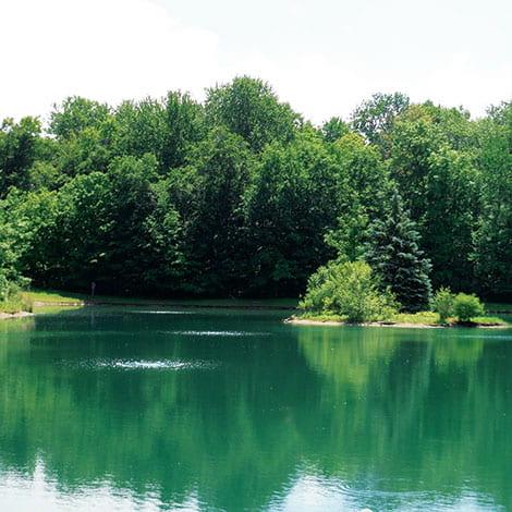 The Importance of Water Depth: Choosing the Right Fountain for Your Pond