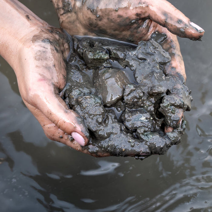 How to Get Rid of Pond Muck (What Actually Works)