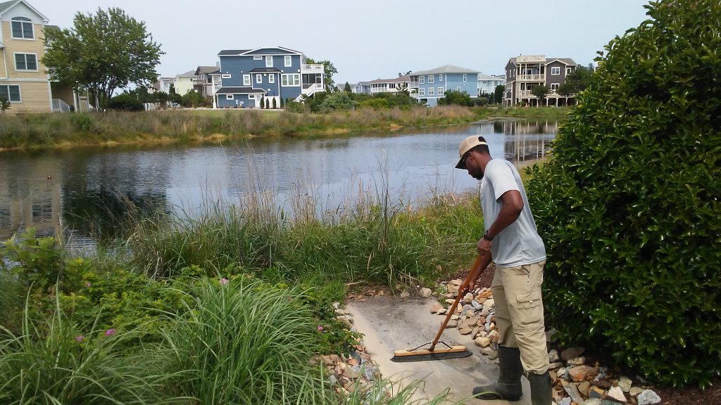 How to Maintain a Large Pond (Without Constant Cleanups)