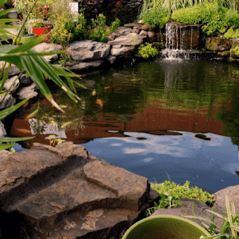 How Do You Maintain Water Quality in a Pond? Top Tips for a Healthy, Crystal-Clear Ecosystem