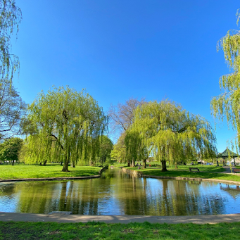How Much Will It Cost to Build a Pond? Everything You Need to Know