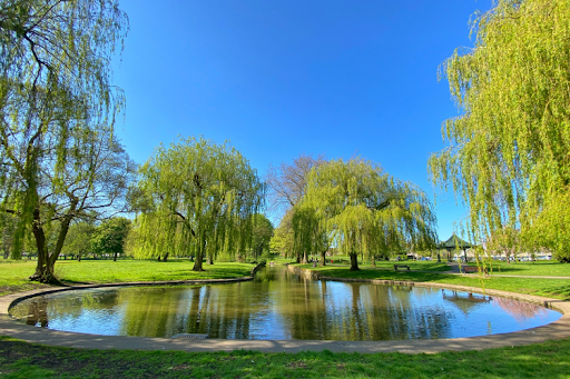 Scenic pond surrounded by lush green trees on a bright sunny day.