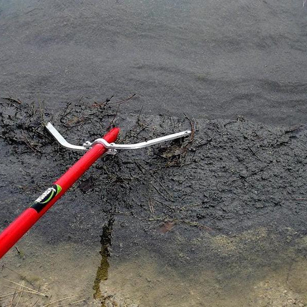 Revitalize Your Pond: A Comprehensive Guide to Removing Muck