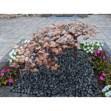 Copper creeping Japanese maple fountain top view