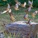 Cedar waxwings bathing in a Blue Thumb boulder bird bath fountain
