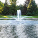 Airmax EcoSeries 1/2 HP pond fountain with crown and trumpet spray pattern in a pond with pine trees in the background