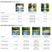 Chart displaying various spray patterns for Airmax Pond Series fountains with images and dimensions.