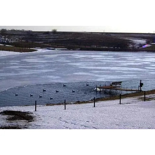 Frozen lake with ducks swimming in an area around the dock that the ice has been cleared by an Ice Eater