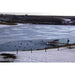 Frozen lake with ducks swimming in an area around the dock that the ice has been cleared by an Ice Eater