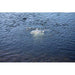 Vertex PondLyfe 3 Aeration System Aerator Vertex   