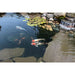 EasyPro Pro-Series Large - Complete Kit for 24′ x 34′ Pond Pond Package EasyPro