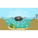 Healthy Aquatics-FS01  1/2 HP Floating Fountain Fountain Healthy Aqua   