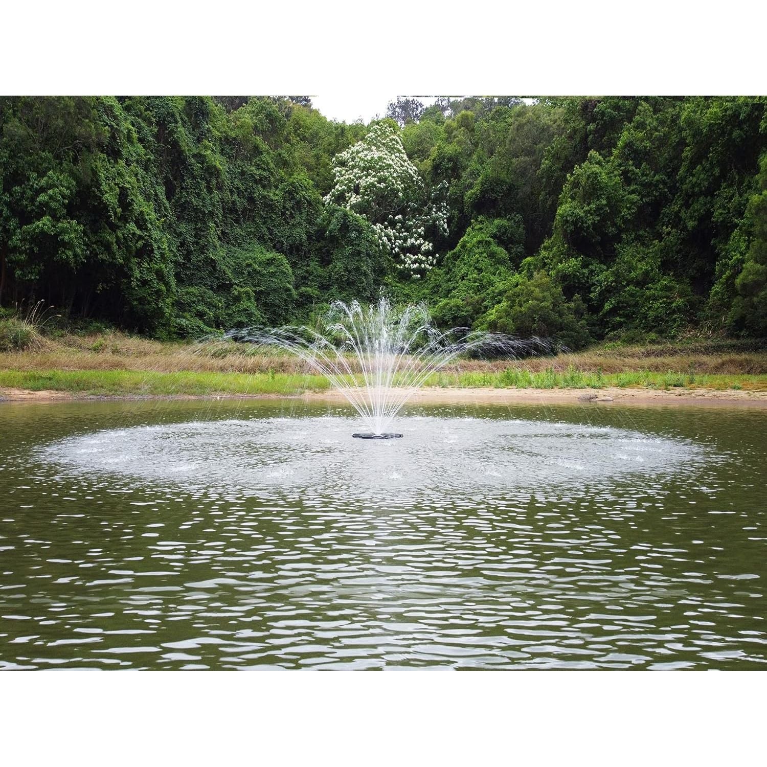 Healthy Aquatics FS02 120V, 1/4HP,  Floating Fountain