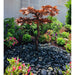 Copper Japanese maple tree fountain installed in a garden