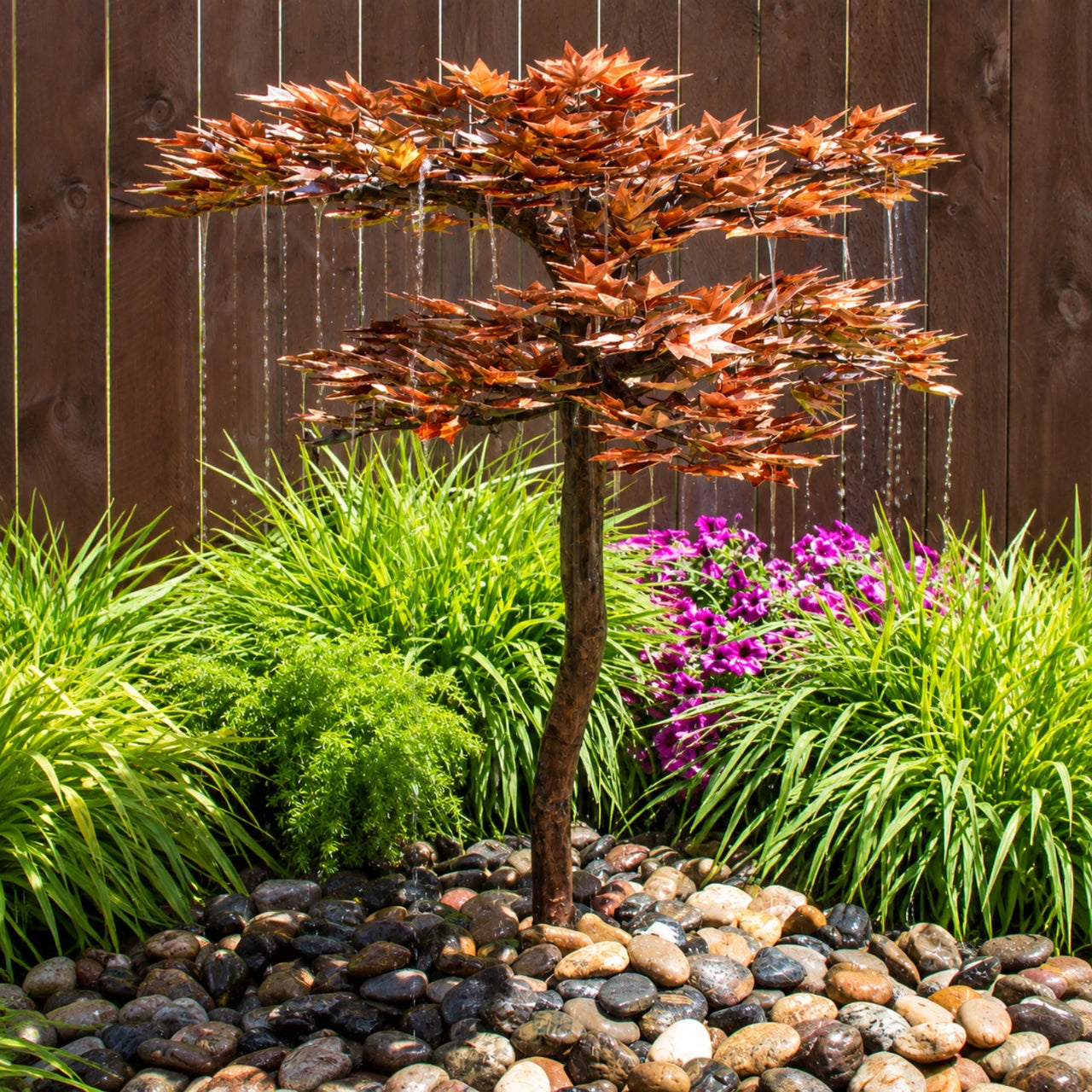 Blue Thumb copper Japanese maple tree fountain in a landscaped garden