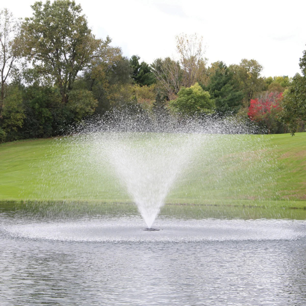 Kasco J Series Fountain With Lights Bundle