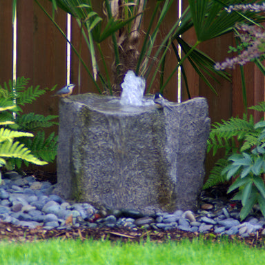Bird drinking from the Klamath Basin fountain's basin-style top