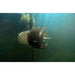 Close up below water surface image of Kasco AquatiClear  blowing muck away
