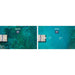 Comparison of water clarity before and after using Weeds Away, with 'Weeds Away' branding.
