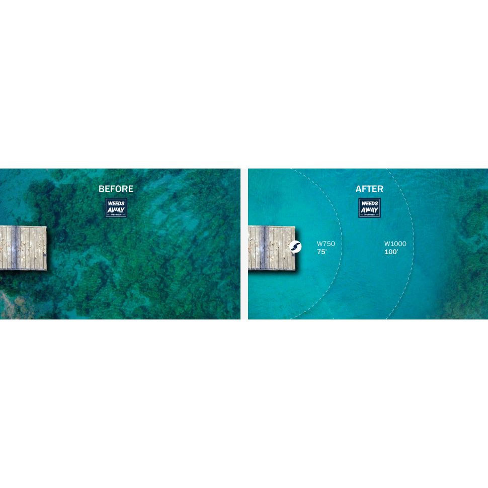 Comparison of water clarity before and after using Weeds Away, with 'Weeds Away' branding.