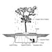 Copper weeping elm fountain basin installation diagram