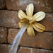 Brass 6-petal daffodil wall spout flowing
