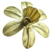 Brass 6-petal flower spout front view
