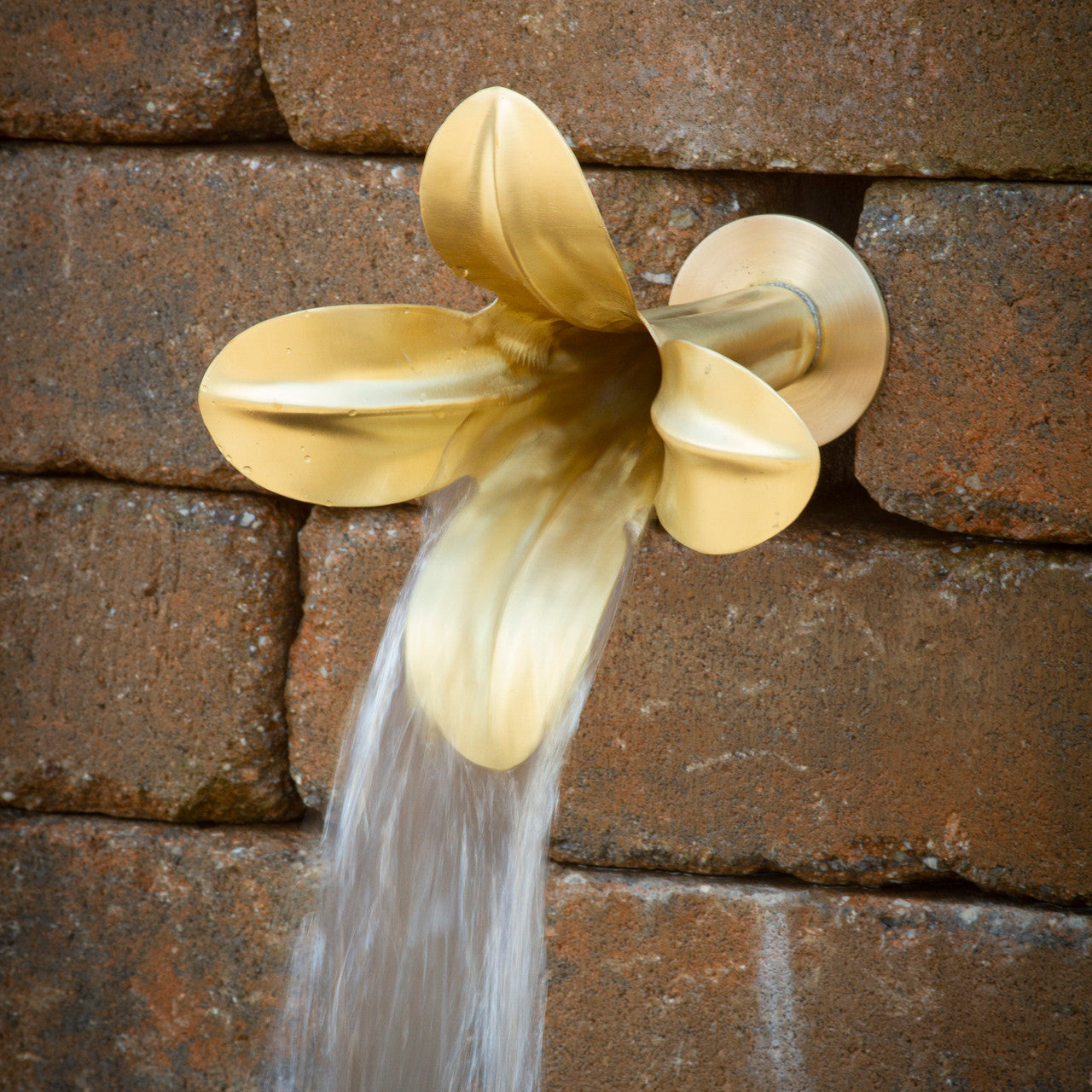 Brass 4-petal wildflower wall spout flowing